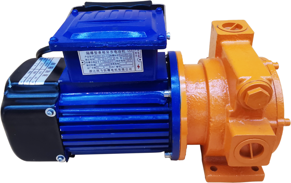 Hvad er olietromlepumpen?